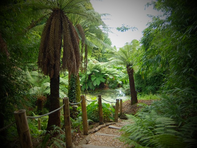 jardin heligan randonnée nord cornouailles littoral royaume uni